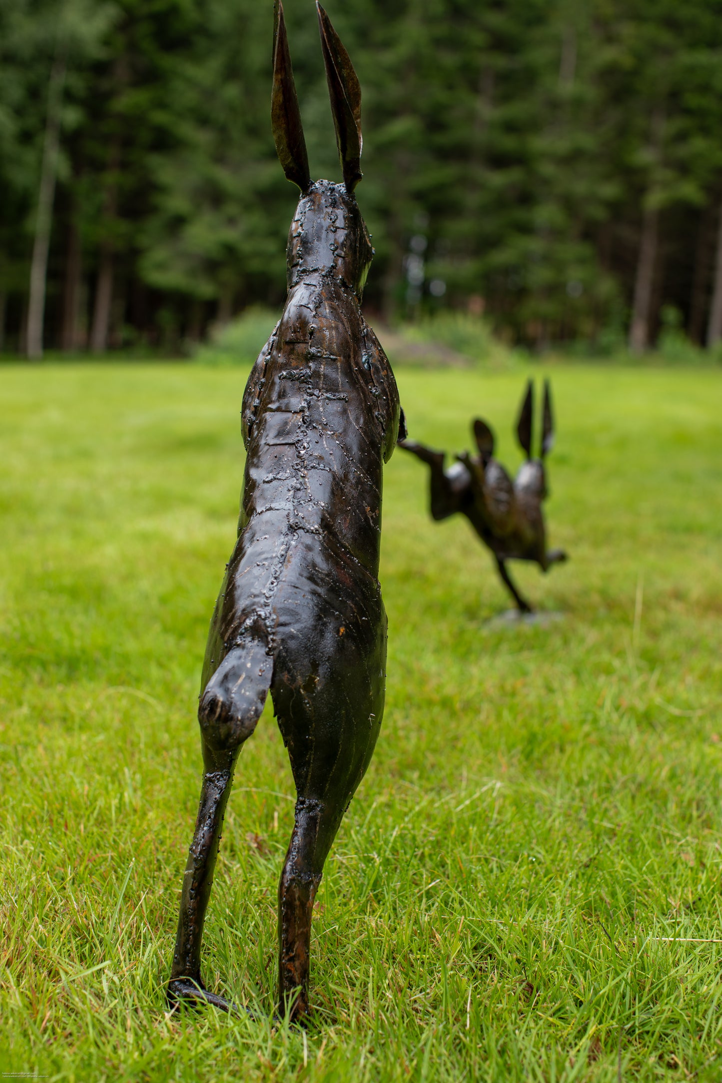 Skuttande hare upp återbruk