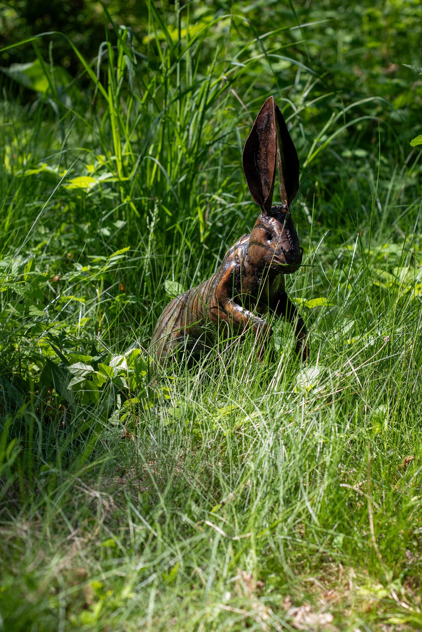 Skuttande hare upp återbruk