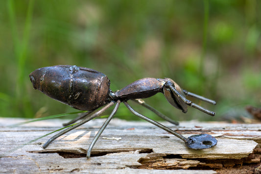 Svart myra 13 cm återbruk