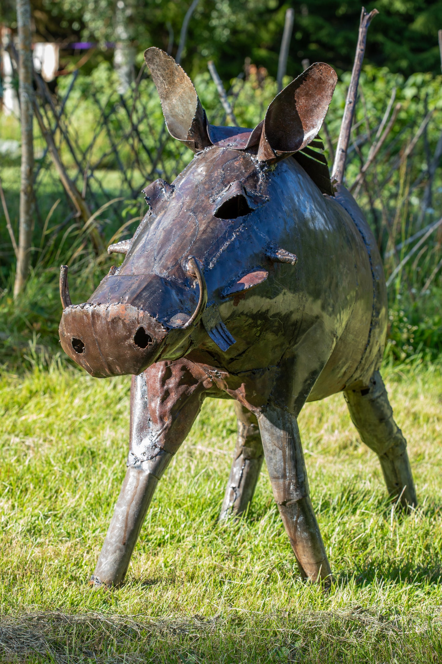 Brunt vårtsvin 115 cm återbruk