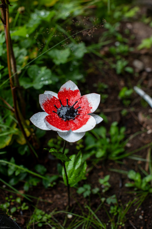 Vit anemon 45 cm återbruk