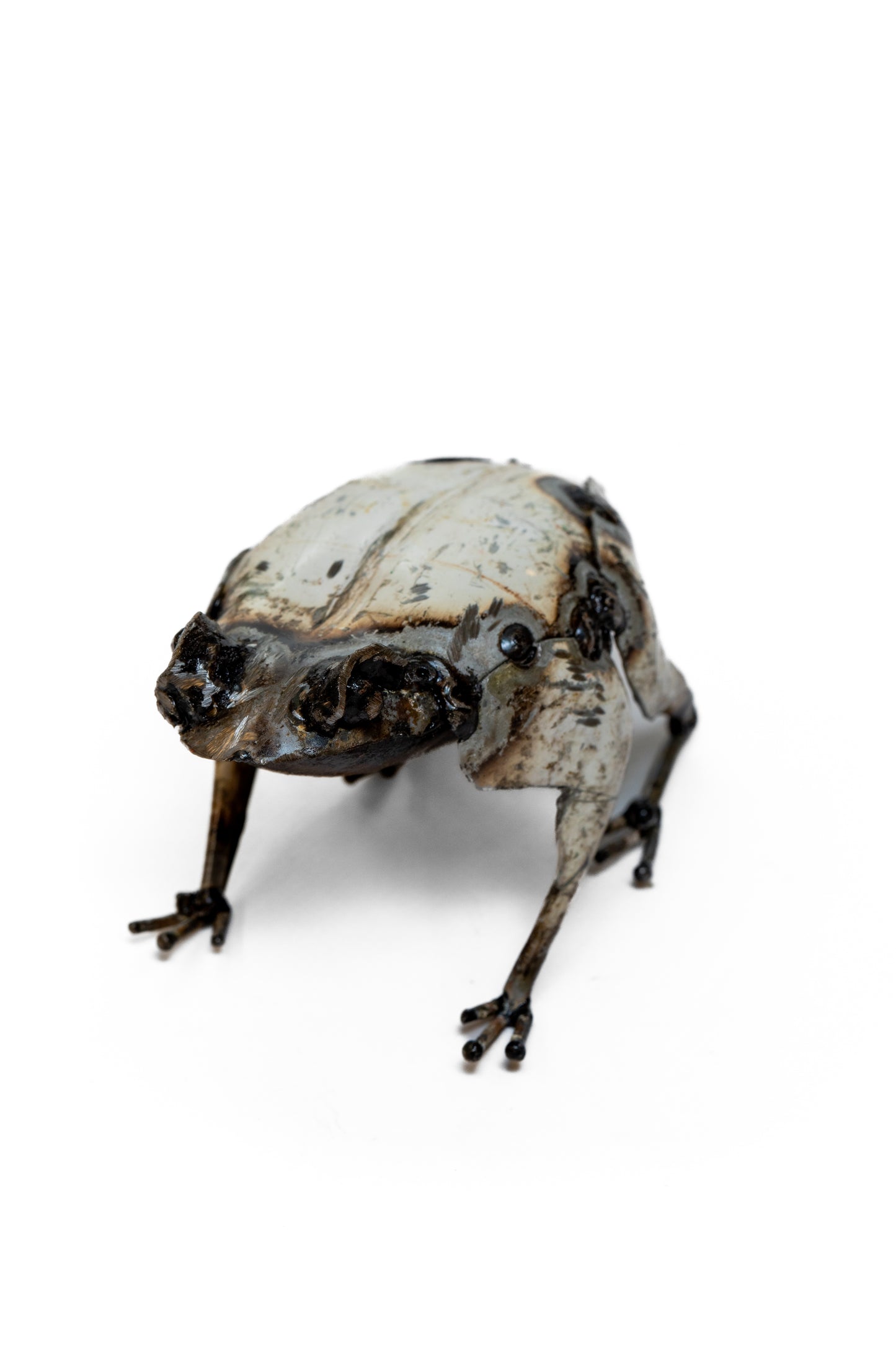 Vit groda 10 cm återbruk