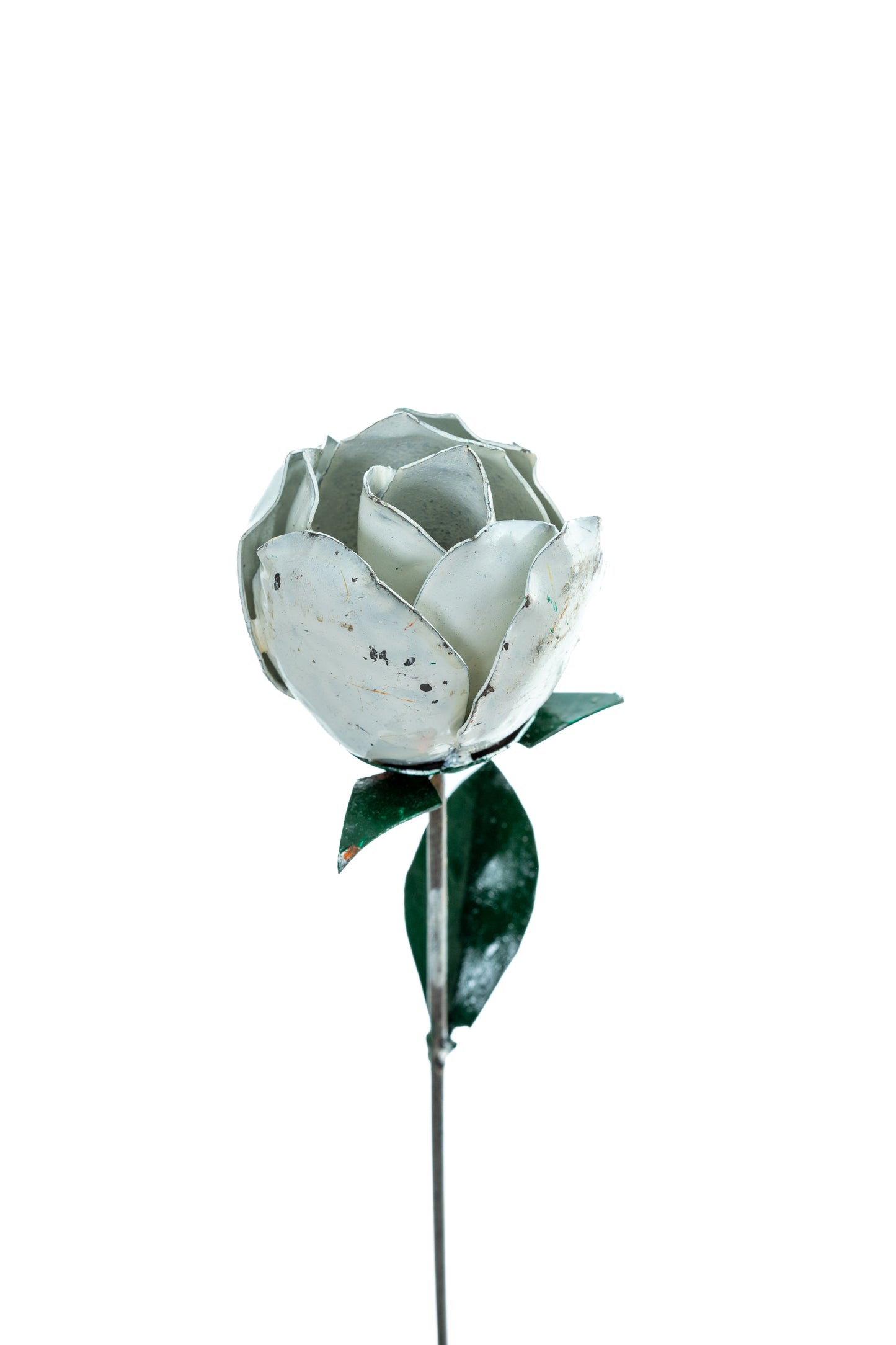 Vit ros 80 cm återbruk