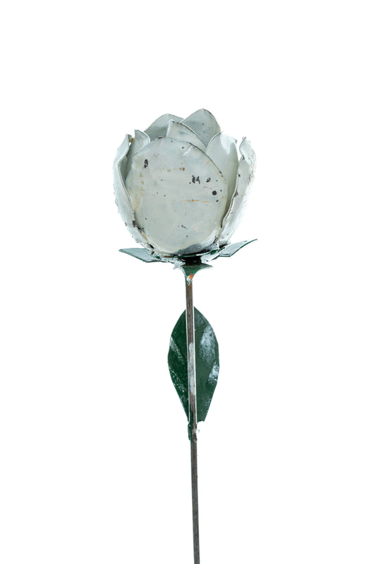 Vit ros 80 cm återbruk