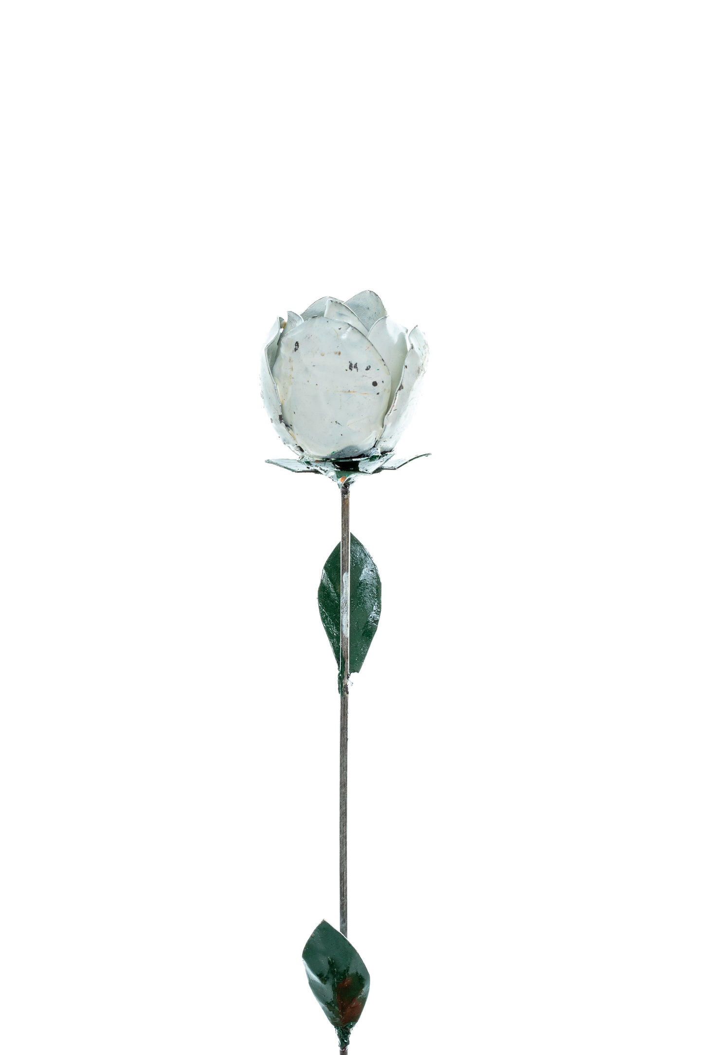 Vit ros 80 cm återbruk