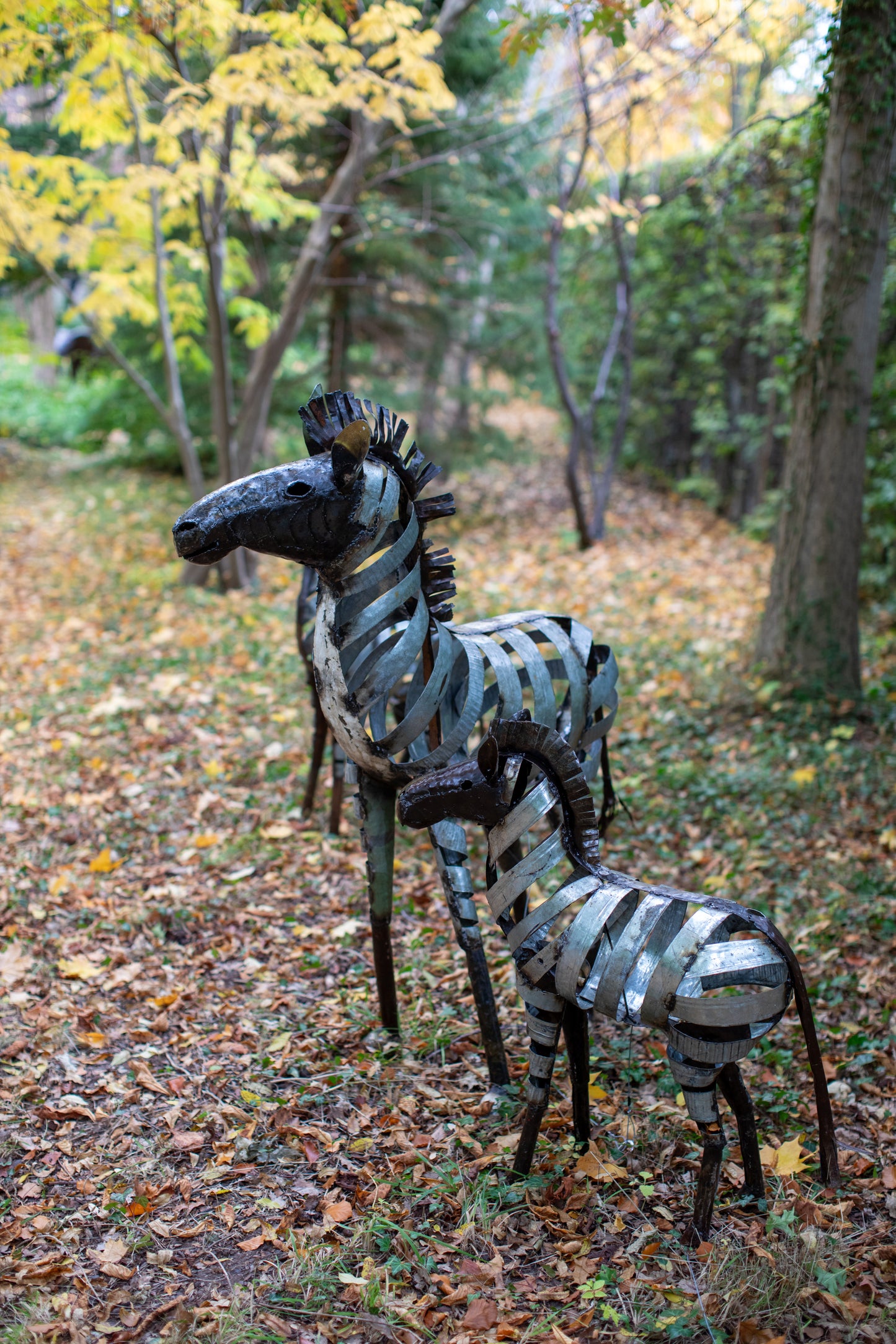 Zebra 33 cm återbruk