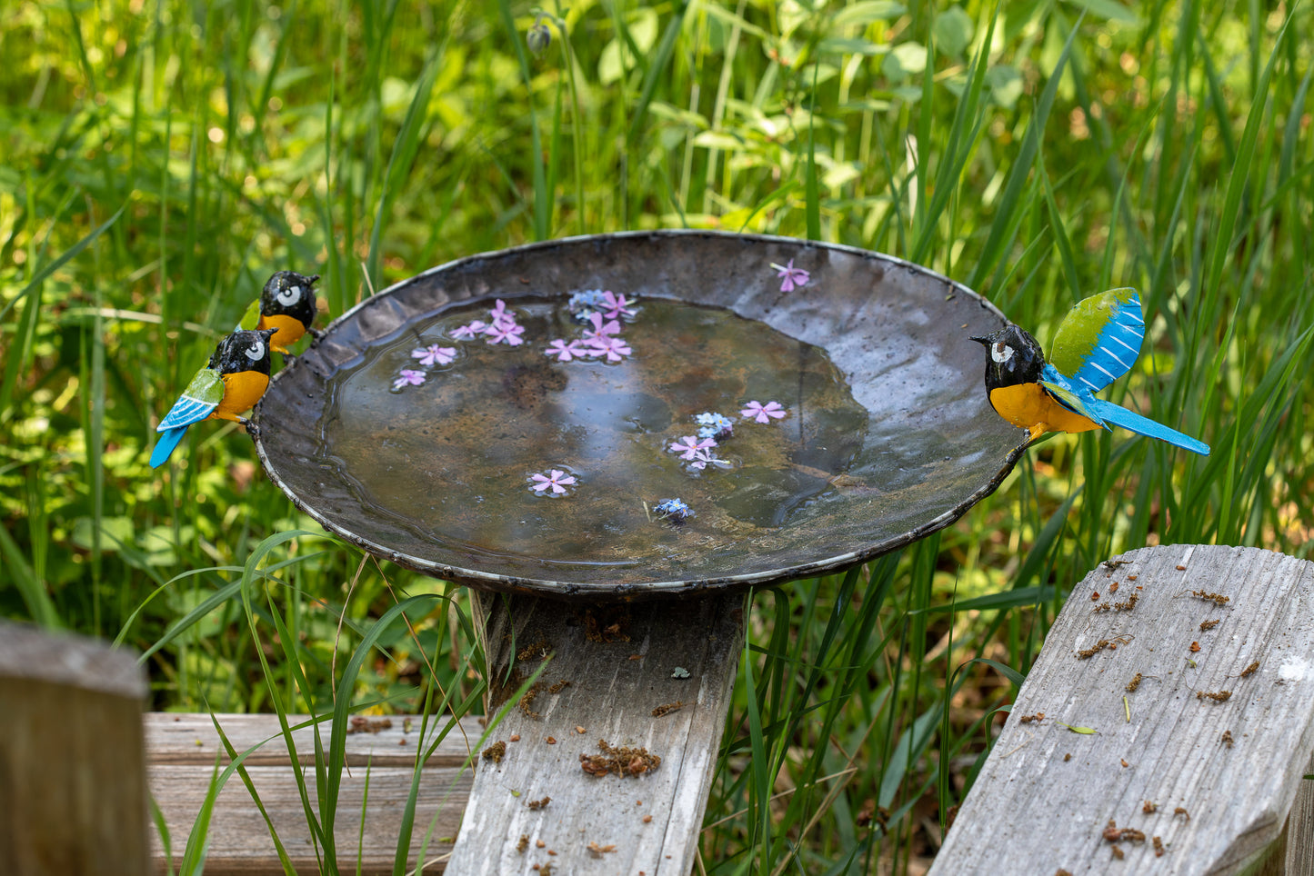 Fågelfat 36 cm återbruk talgoxe