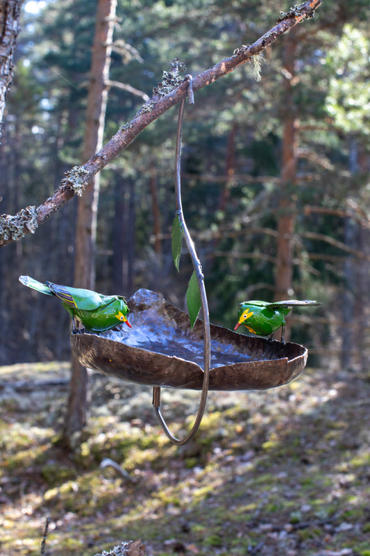 Hängande fågelbad/bord ranka GRÖNA FÅGLAR återbruk