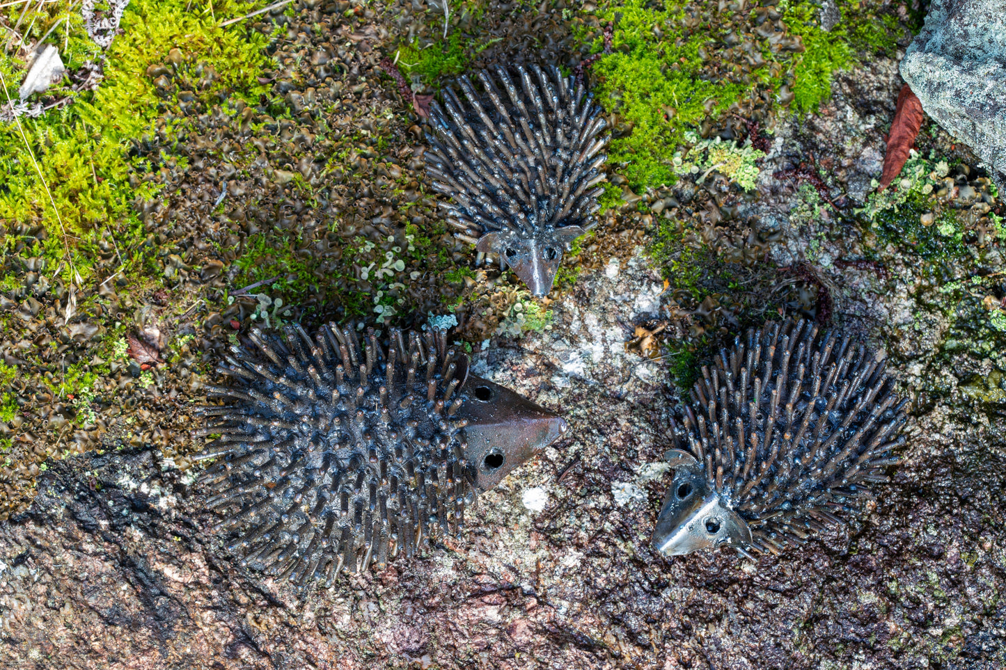 Igelkott 22 cm återbruk