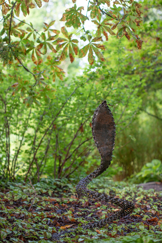 Kobra 51 cm återbruk