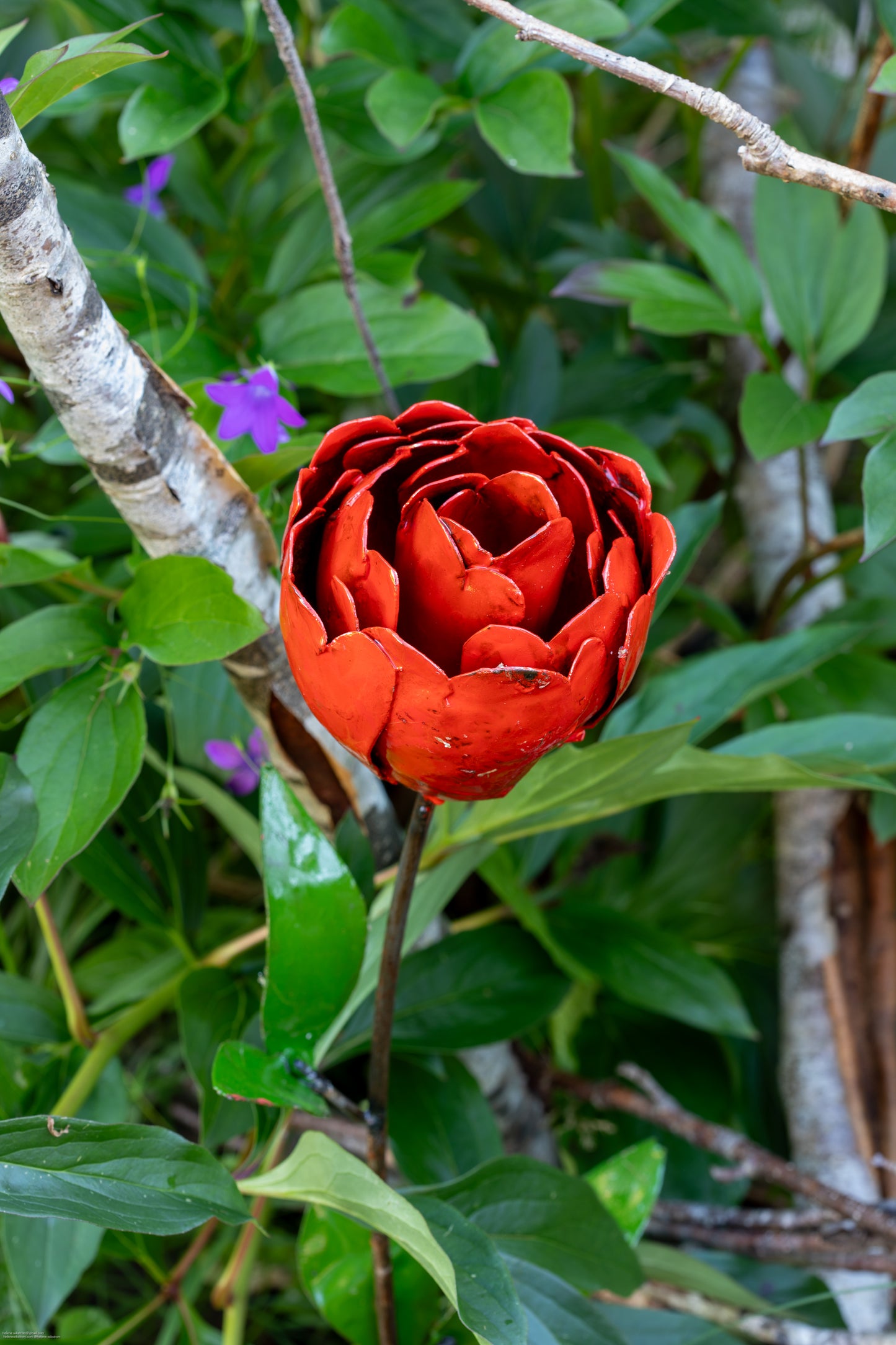 Röd pion återbruk