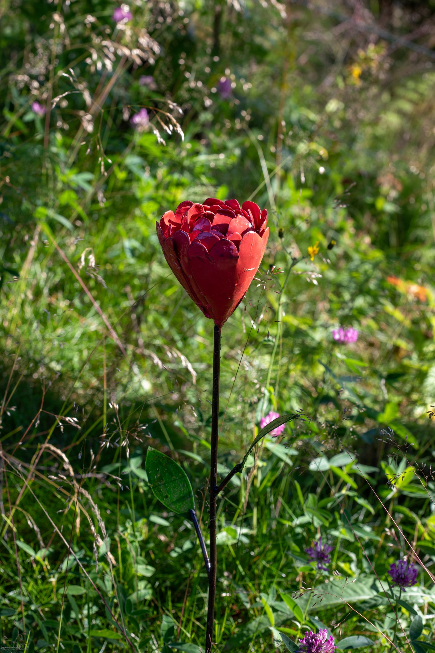 Röd pion återbruk