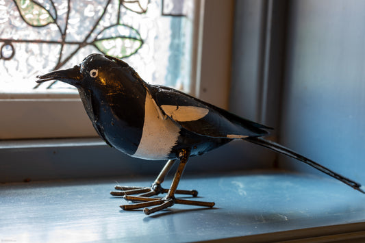 Skata 23 cm återbruk