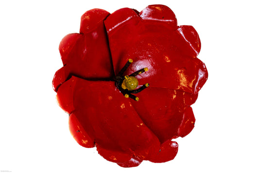 Väggdekor VALLMO 11 cm återbruk