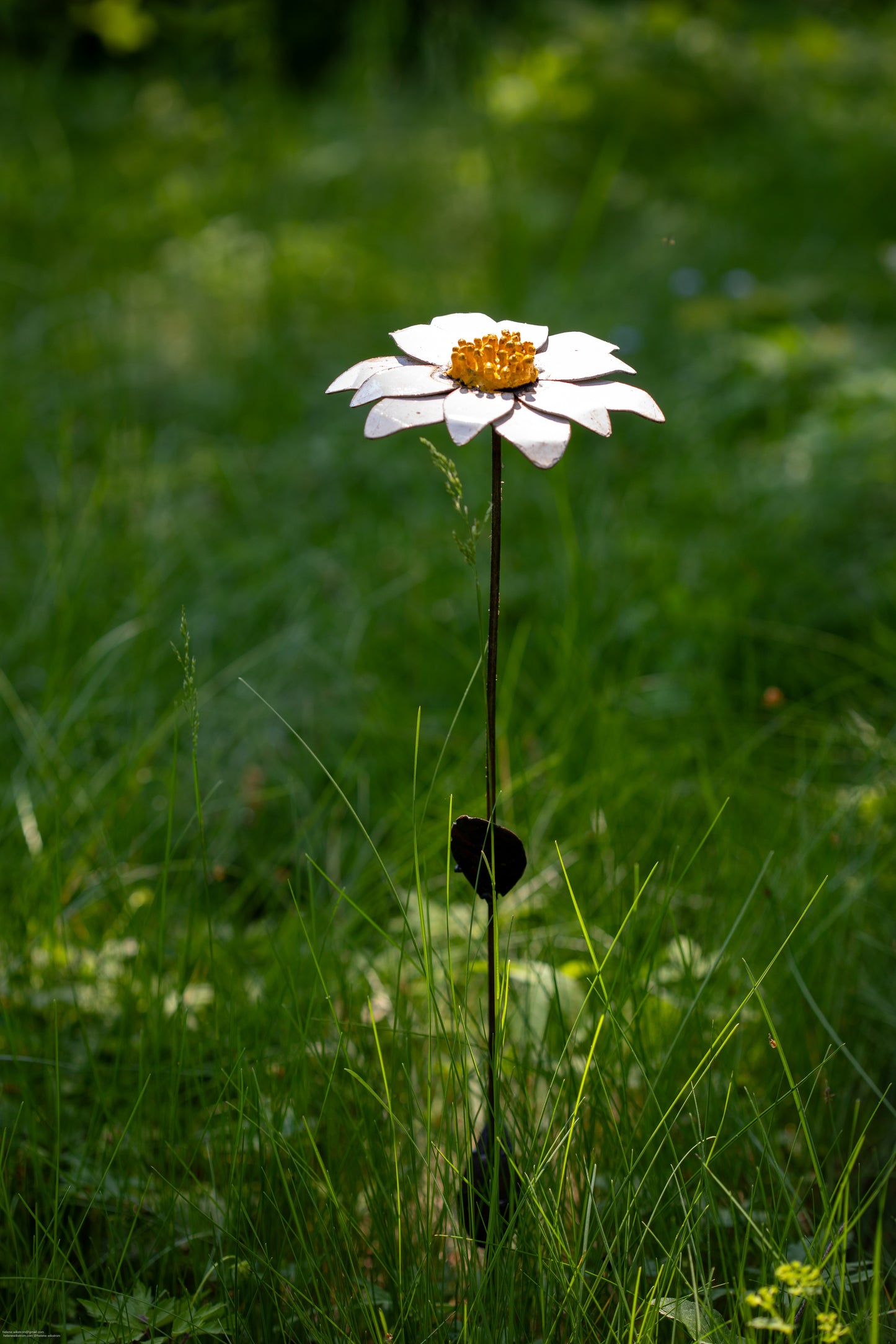 Vit aster 68 cm återbruk